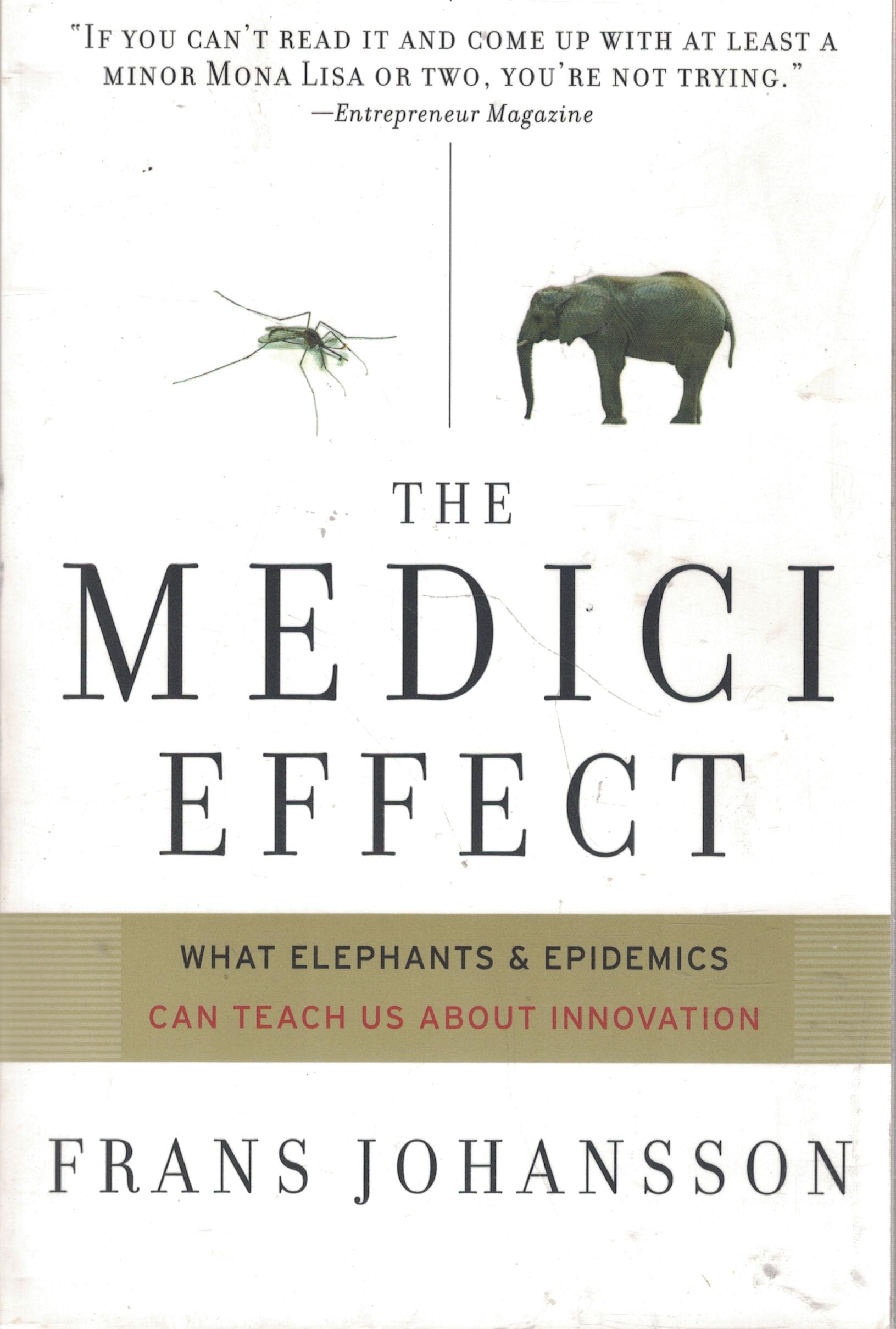 The Medici Effect